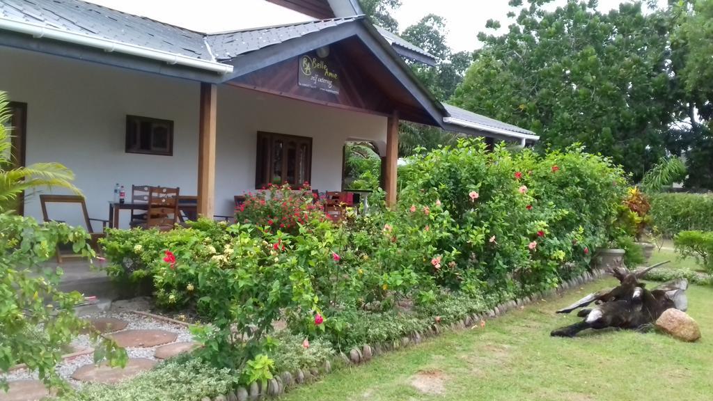 Отель Belle Amie Self Catering Ла-Диг Экстерьер фото